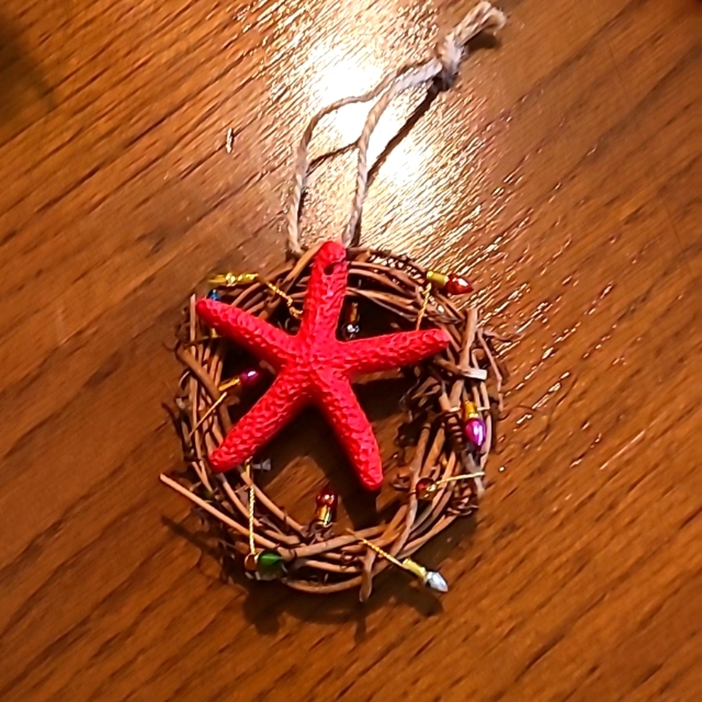 Beach starfish Xmas ornament homemade